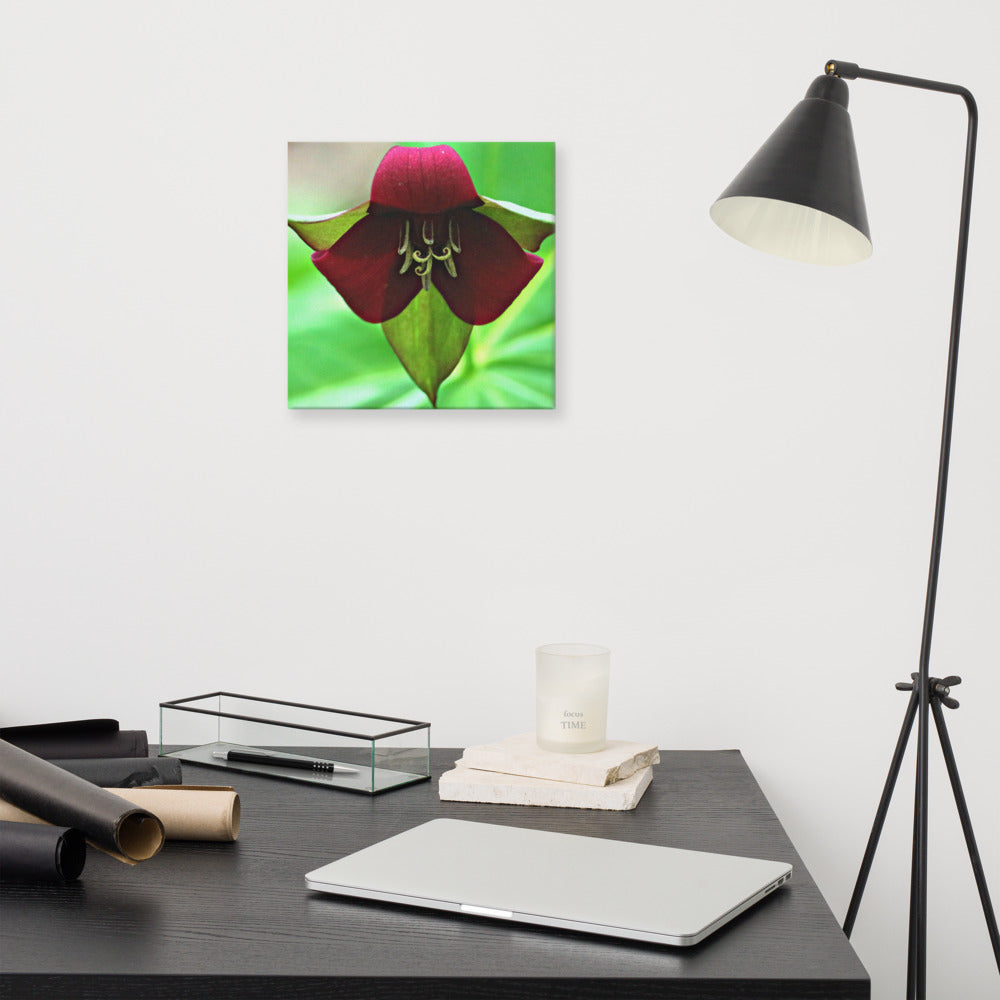 Wake Robin Trillium| Canvas Nature Photography