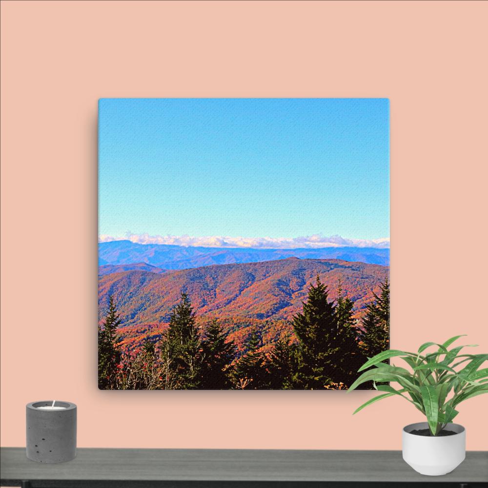 Trail to Waterrock Knob Canvas}Canvas Nature Photography