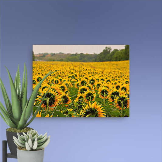 Sunflower Fields Forever| Canvas Nature Photography by Natural Reflection Art