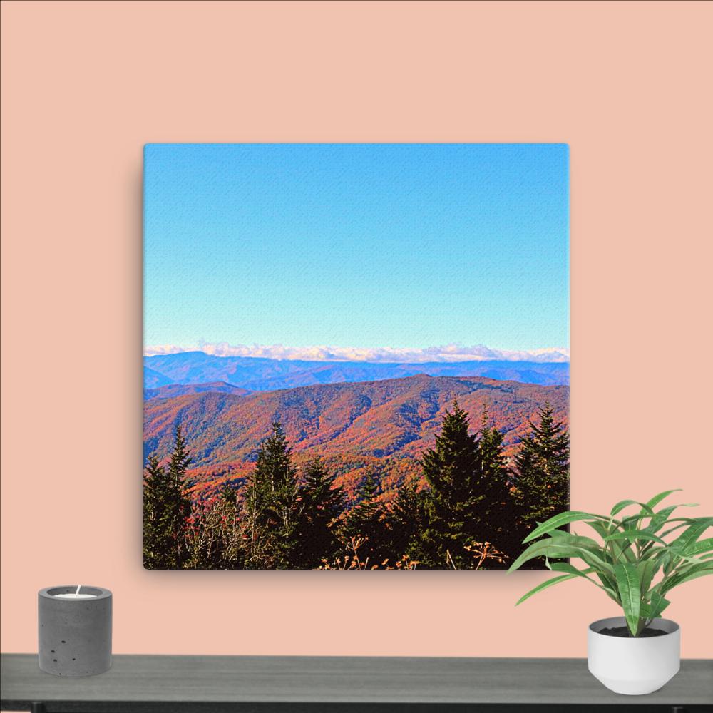 Trail to Waterrock Knob Canvas}Canvas Nature Photography