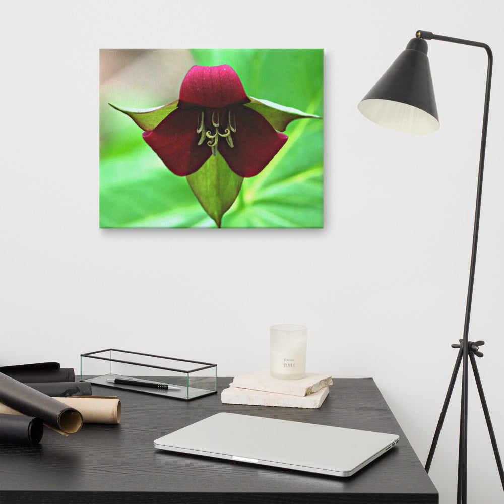 Wake Robin Trillium| Canvas Nature Photography