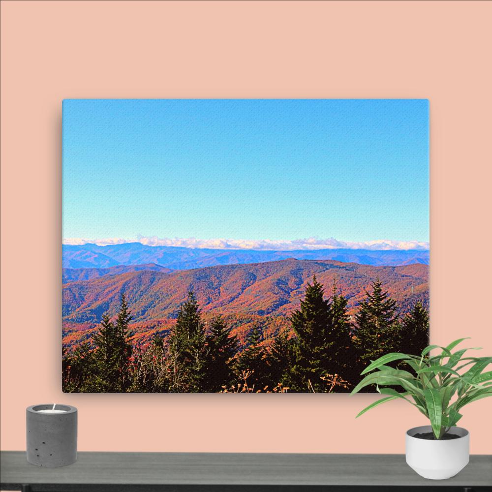 Trail to Waterrock Knob Canvas}Canvas Nature Photography