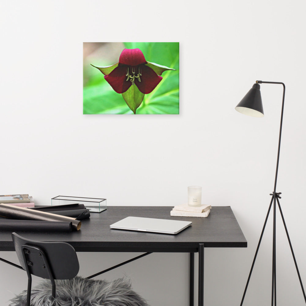 Wake Robin Trillium| Canvas Nature Photography