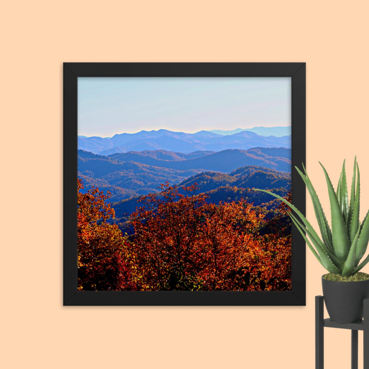 Blue Ridge Mountain Splendor- Framed photo paper poster
