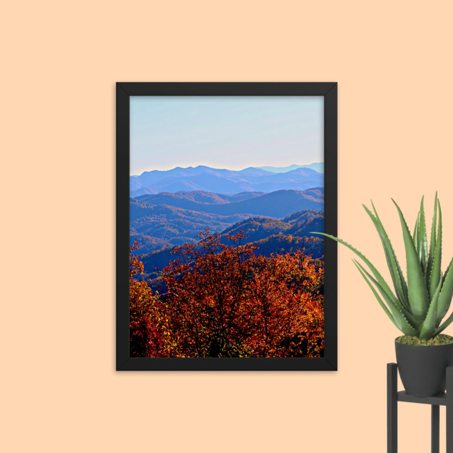 Blue Ridge Mountain Splendor- Framed photo paper poster