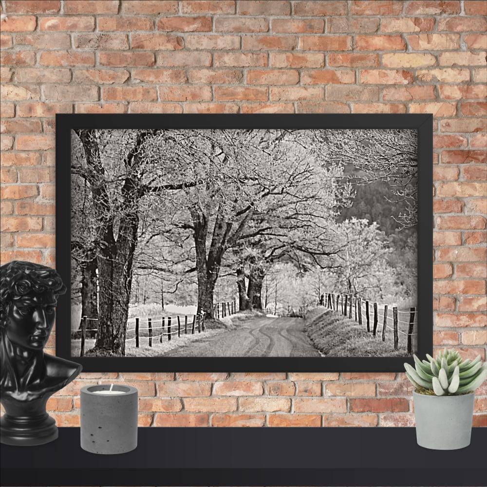 Hoar Frost at Sparks Lane Framed Photo Paper Poster | Nature Wall Art