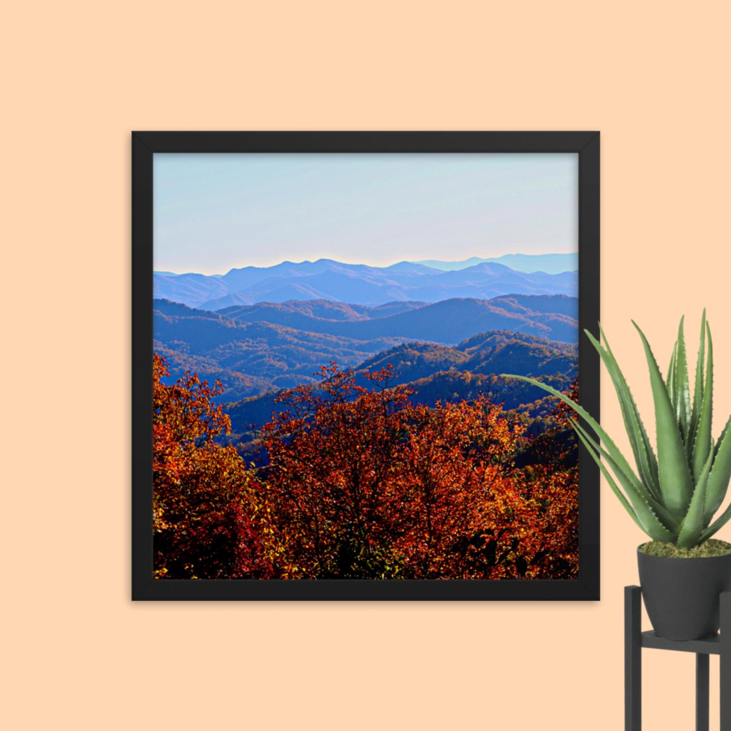 Blue Ridge Mountain Splendor- Framed photo paper poster