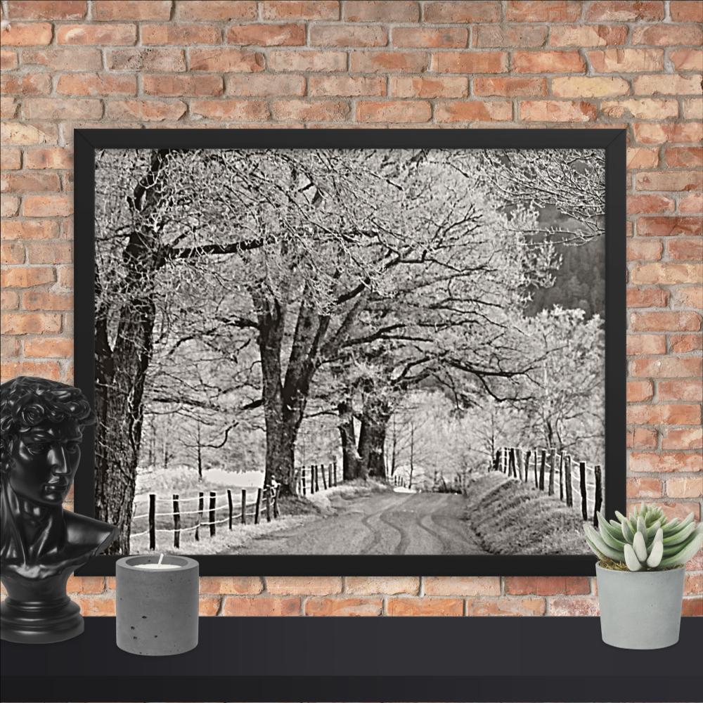 Hoar Frost at Sparks Lane Framed Photo Paper Poster | Nature Wall Art