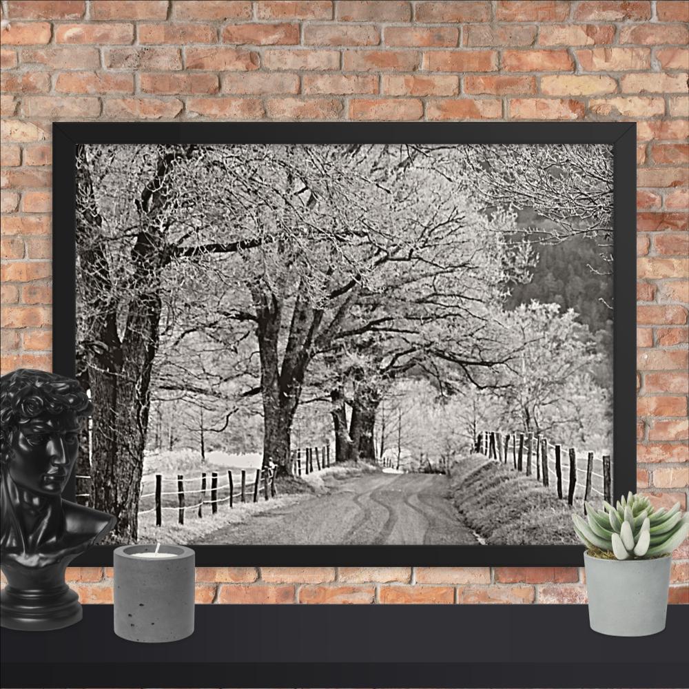Hoar Frost at Sparks Lane Framed Photo Paper Poster | Nature Wall Art