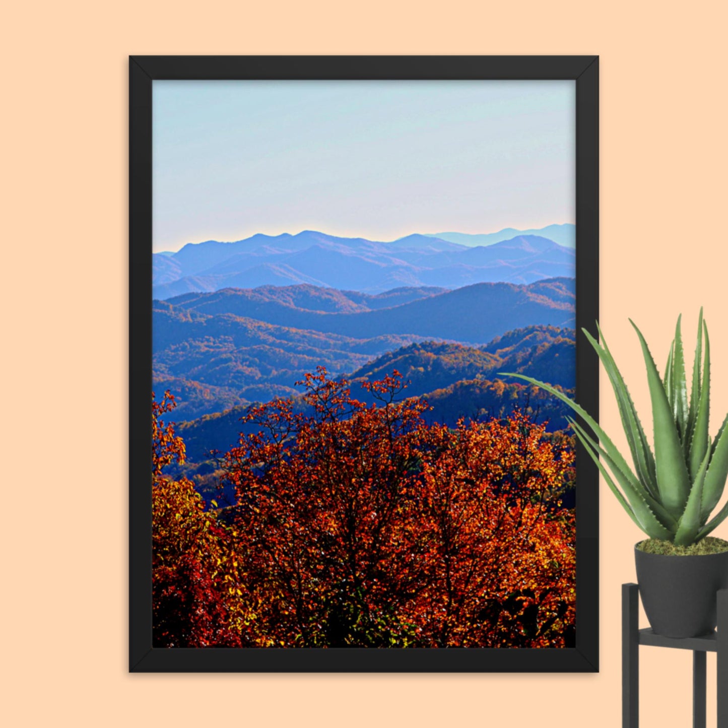 Blue Ridge Mountain Splendor- Framed photo paper poster