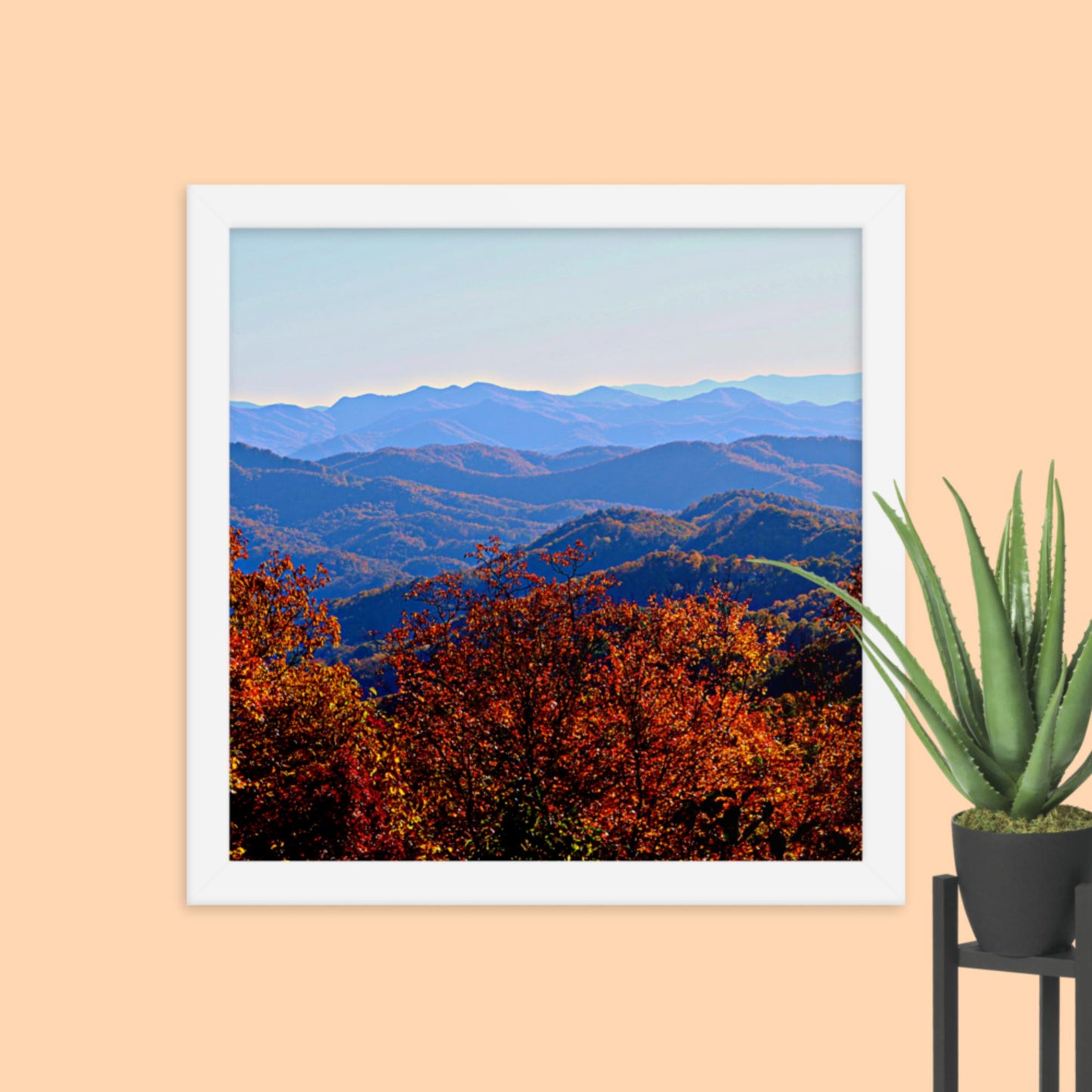Blue Ridge Mountain Splendor- Framed photo paper poster