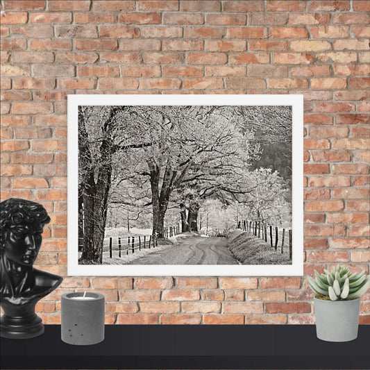 Hoar Frost at Sparks Lane Framed Photo Paper Poster | Nature Wall Art