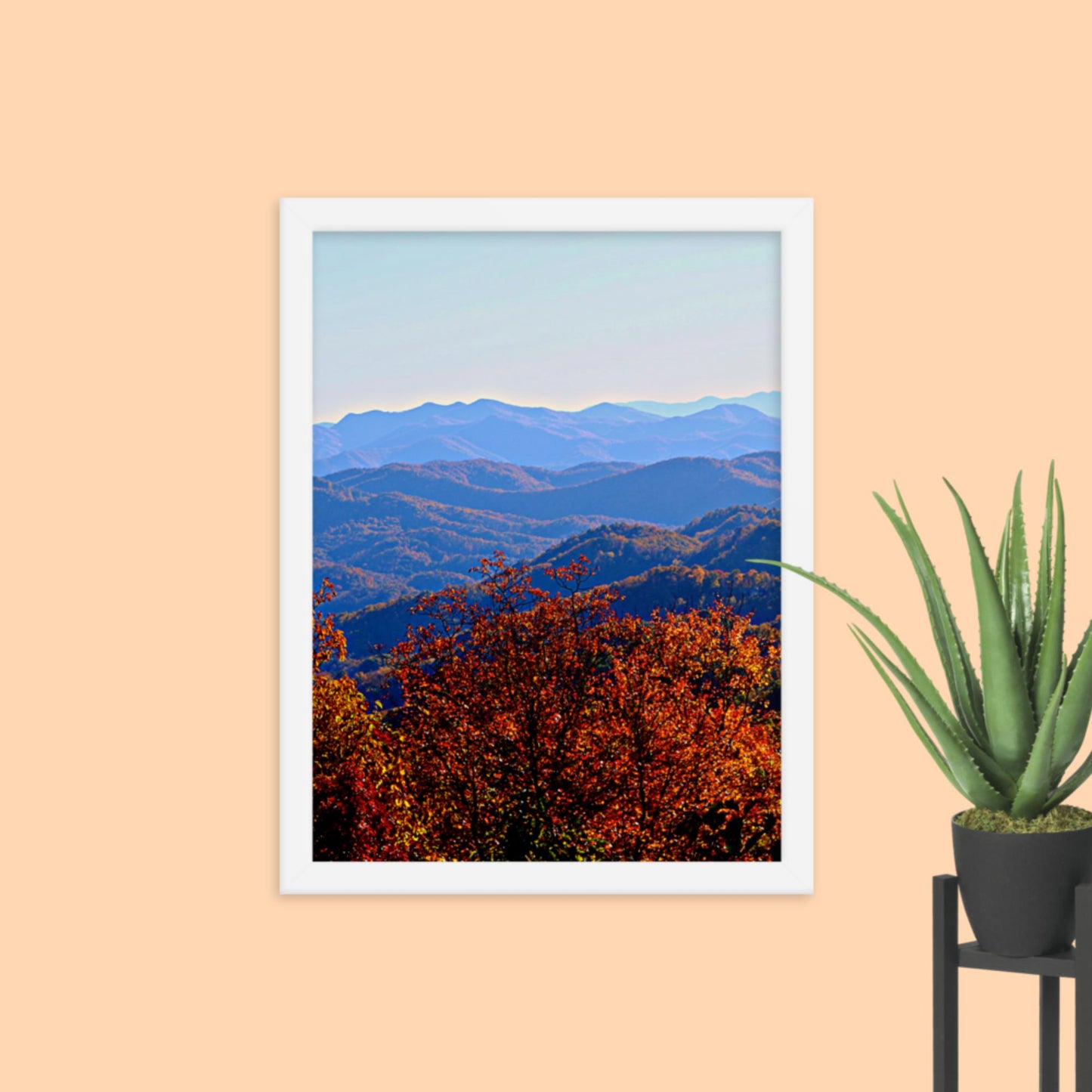 Blue Ridge Mountain Splendor- Framed photo paper poster