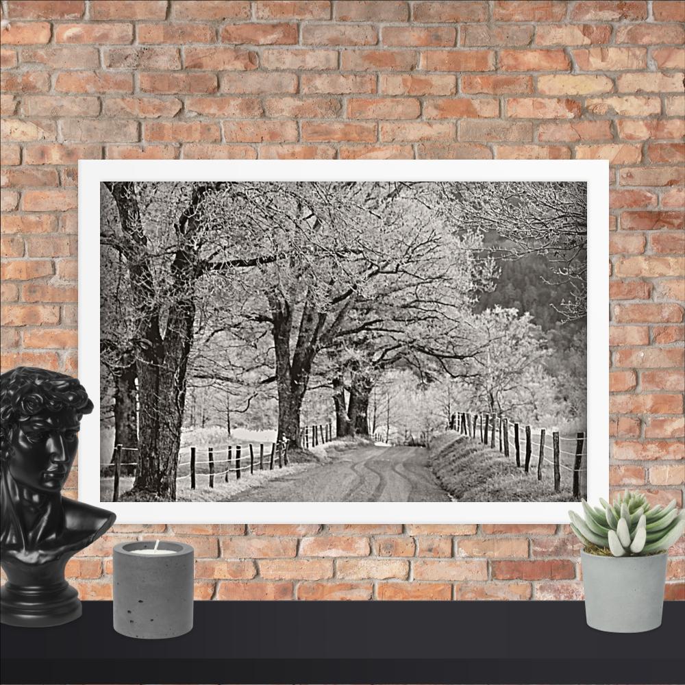 Hoar Frost at Sparks Lane Framed Photo Paper Poster | Nature Wall Art