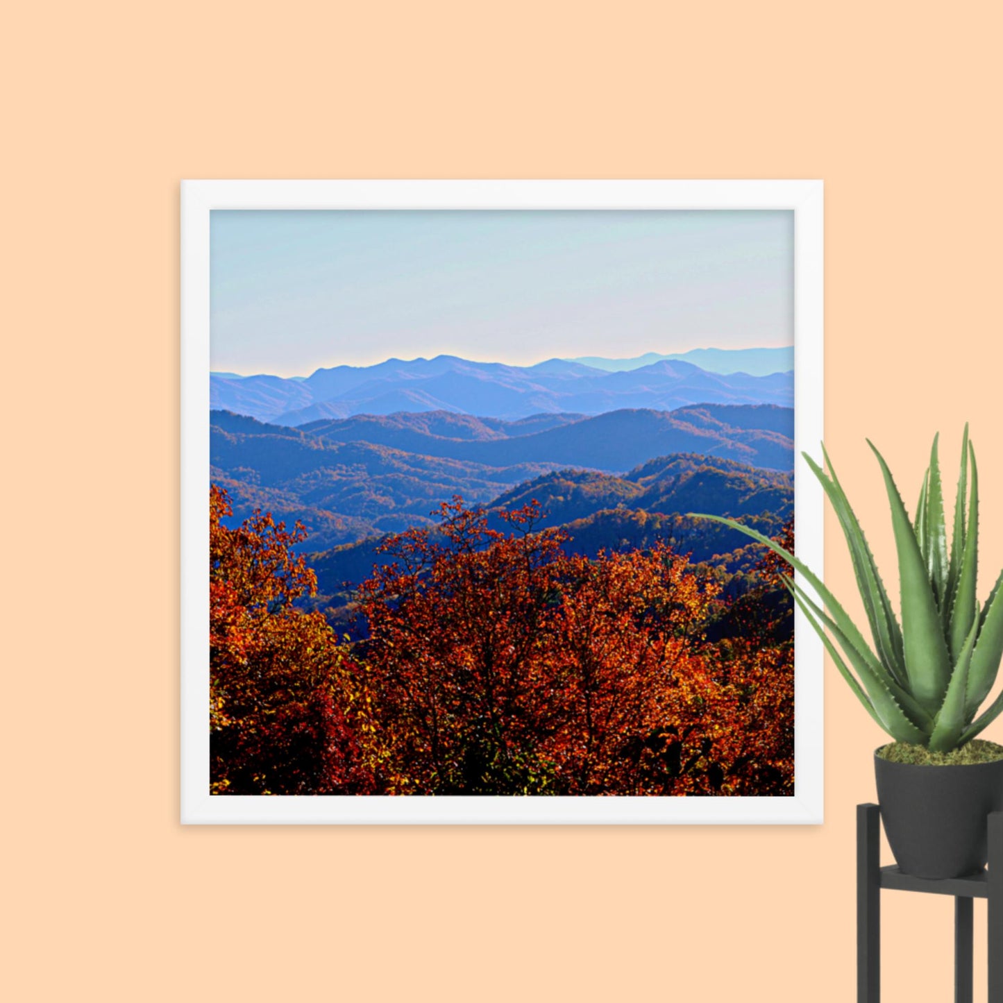 Blue Ridge Mountain Splendor- Framed photo paper poster