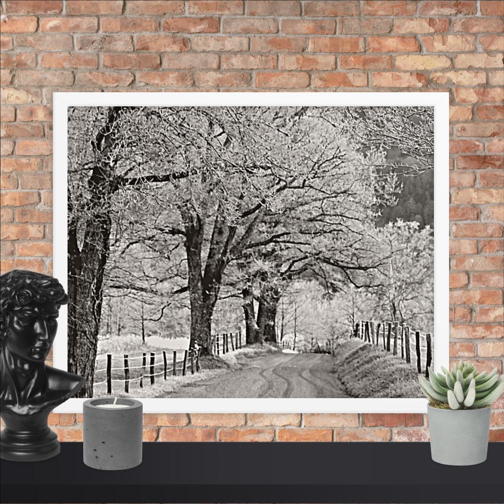 Hoar Frost at Sparks Lane Framed Photo Paper Poster | Nature Wall Art