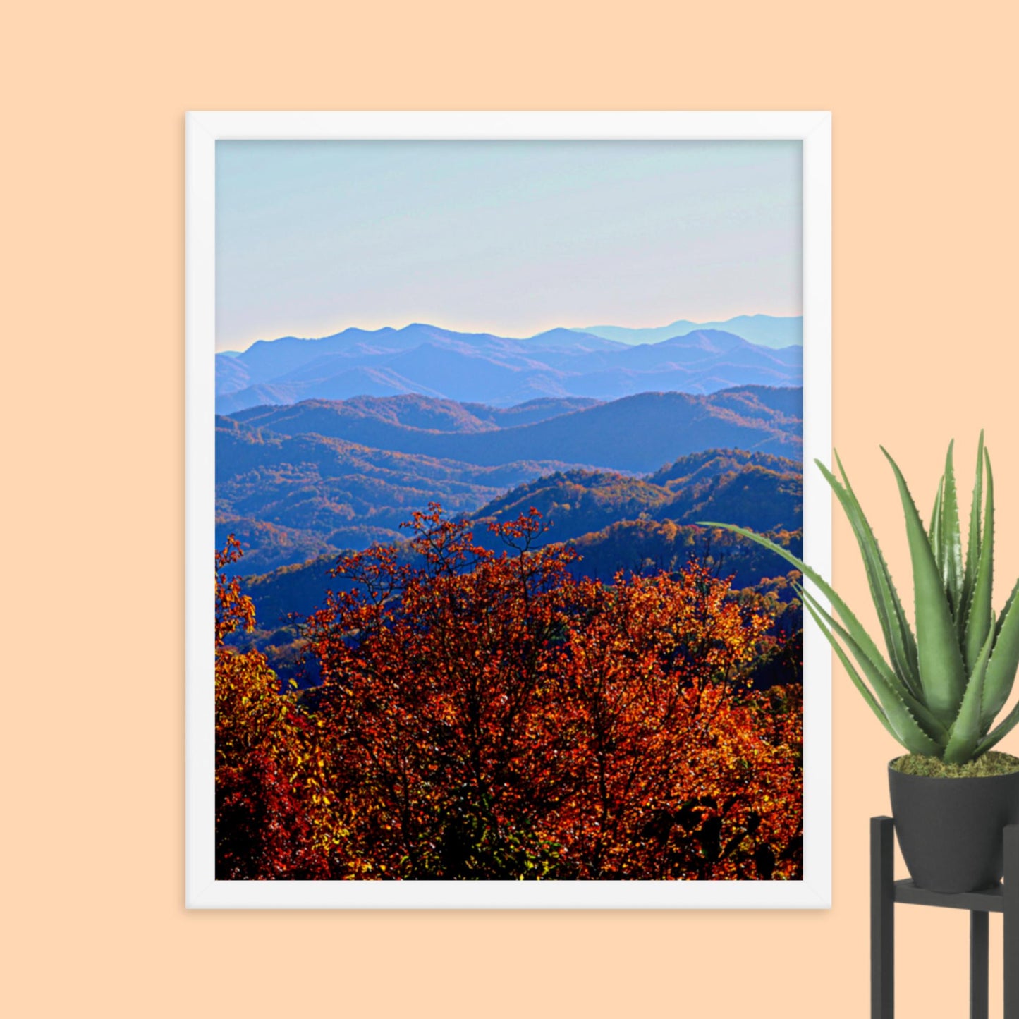 Blue Ridge Mountain Splendor- Framed photo paper poster