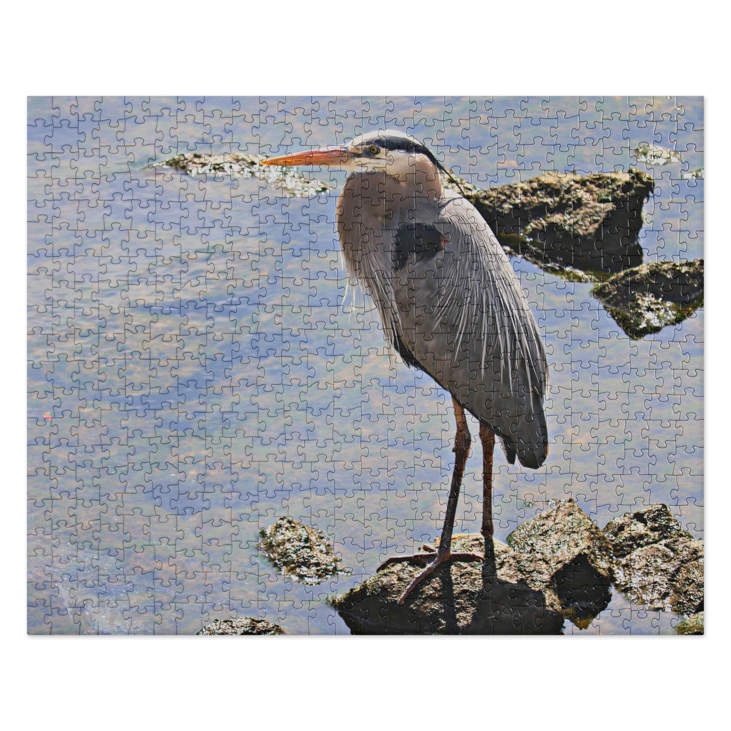 Heron Jigsaw Puzzle
