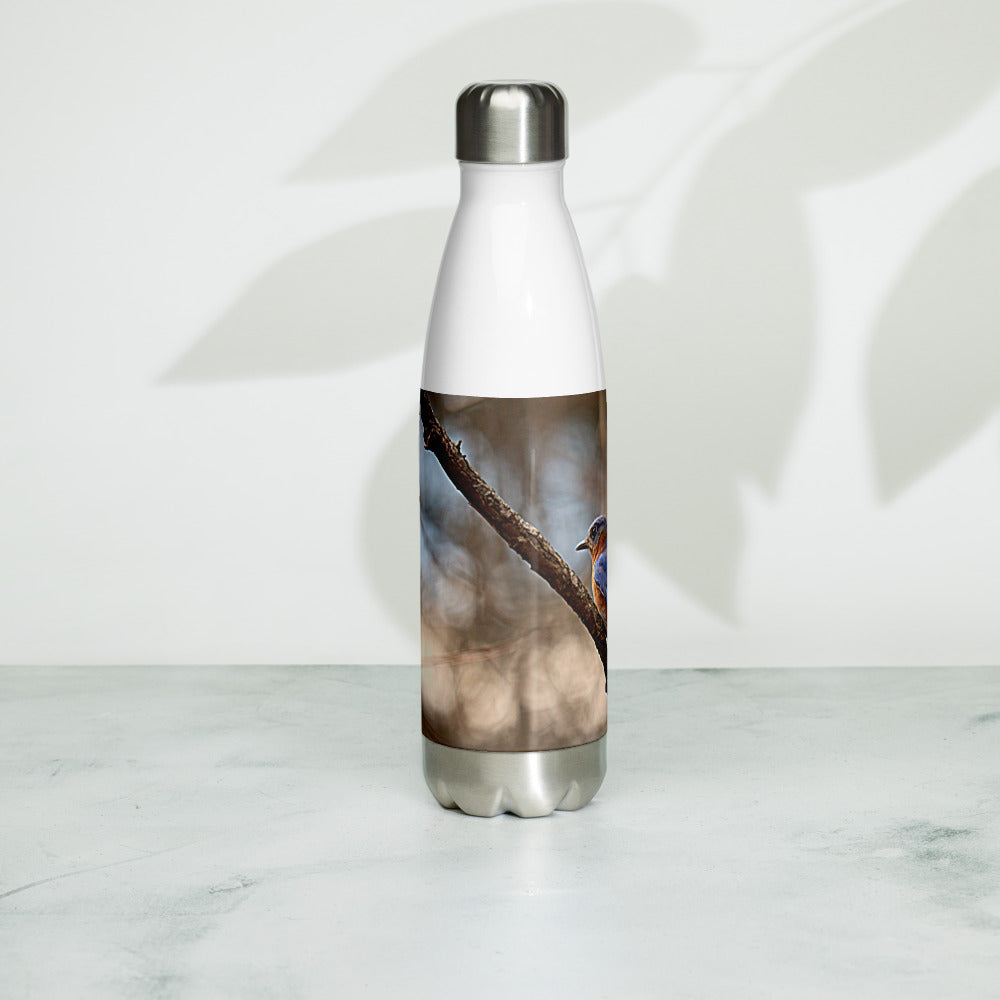Bluebird Stainless Steel Water Bottle