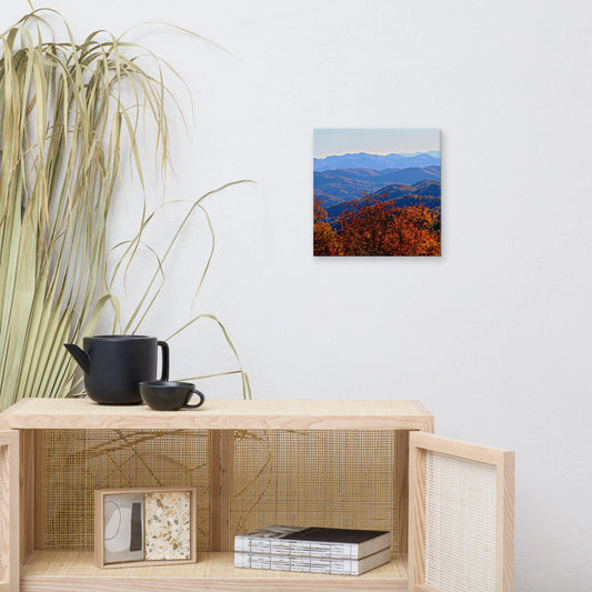 Blue Ridge Mountain Splendor Canvas- Blue Ridge Parkway| Wall Decor