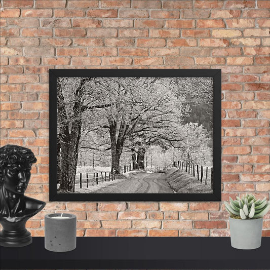 Hoar Frost at Sparks Lane Framed Photo Paper Poster | Nature Wall Art