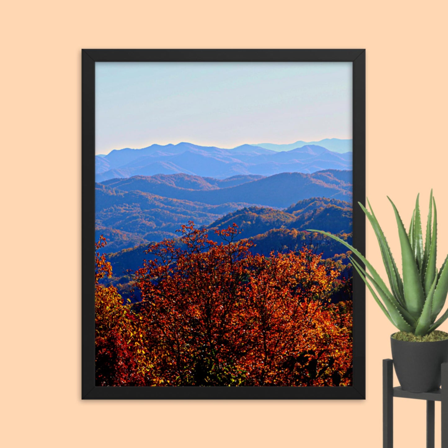 Blue Ridge Mountain Splendor- Framed photo paper poster