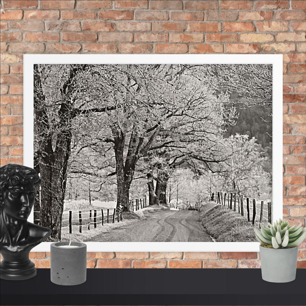 Hoar Frost at Sparks Lane Framed Photo Paper Poster | Nature Wall Art
