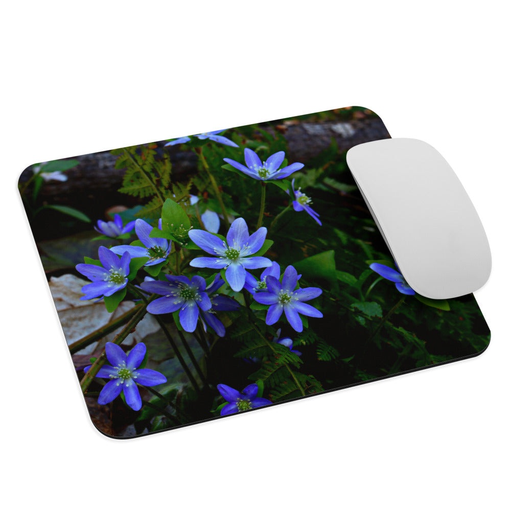 Hepatica Mouse Pad
