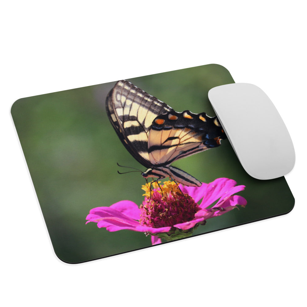 Swallowtail on Zinnia Mouse Pad