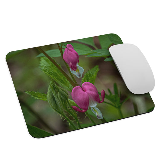 Bleeding Heart Mouse Pad