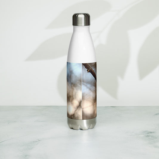 Bluebird Stainless Steel Water Bottle