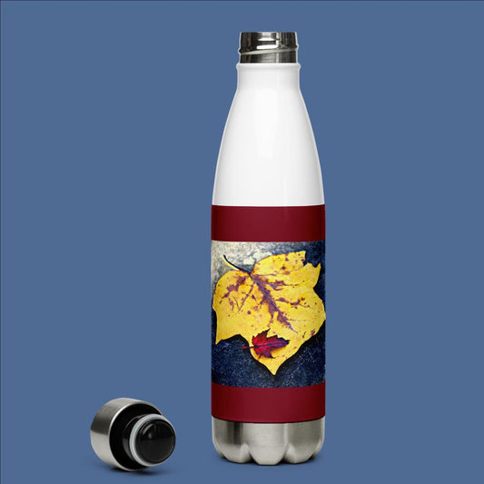 Fall Leaf on Rock Stainless Steel Water Bottle