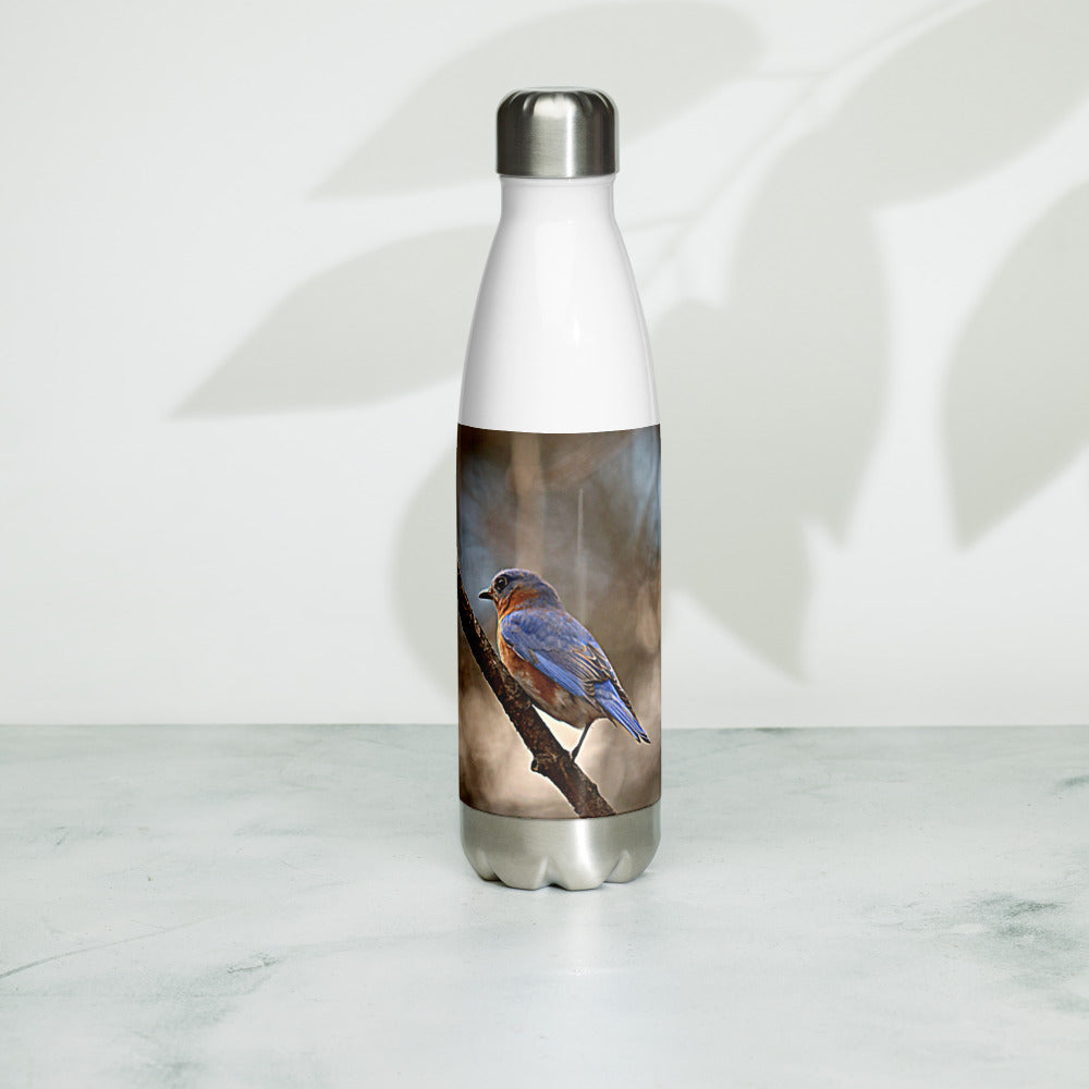 Bluebird Stainless Steel Water Bottle